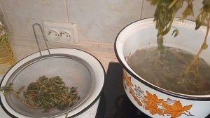 Сорная и очень полезная трава портулак. Закуска