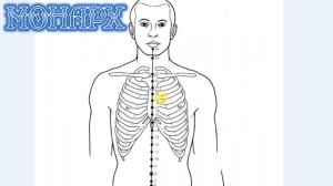 Маленькие секреты лечения через акупунктурные точки. Подспорье к вихревой медицине