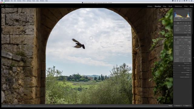 Adobe Photoshop Lightroom - retušovací techniky смотреть онлайн