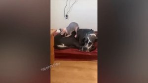 Я РЖАЛ ЦЕЛЫЙ ЧАС?