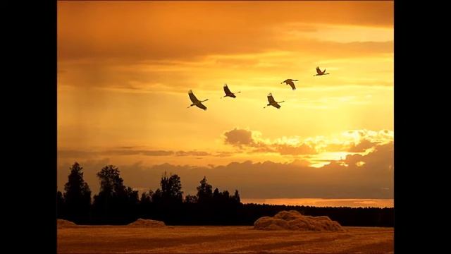 ОСЕНЬ смотреть онлайн