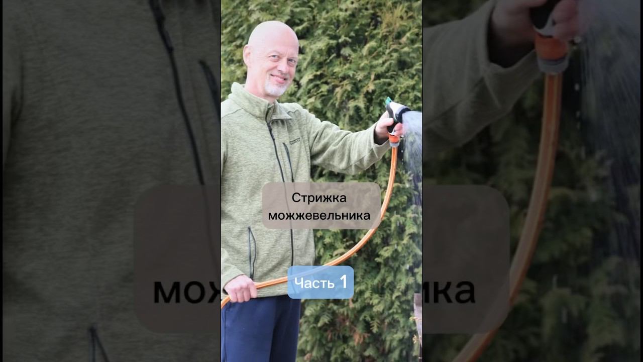 Стрижка можжевельника. #бонсай #bonsai #ниваки #андрейдарусенков #сад #можжевельник #хвойные