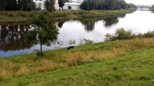 На бывшем городском пляже.