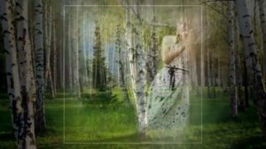 ВОТ ОНА, МИЛАЯ РОЩА