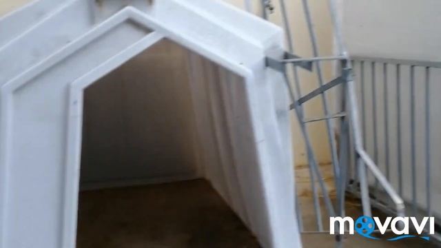 #коровник#германия#свежее молоко#Содержание коров в Германии/Всегда свежее молоко на ферме смотреть онлайн