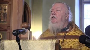 Проповедь на неделю 24-ю по Пятидесятнице (о гадаринском бесноватом). Димитрий Смирнов