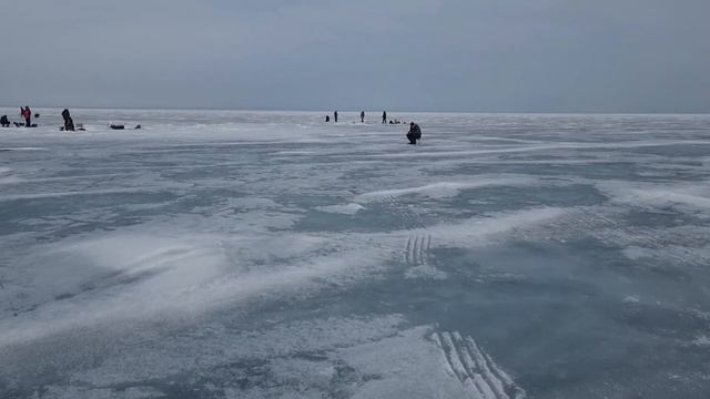 Руки болят от такого клёва. Капчагайское водохранилище смотреть онлайн