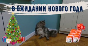 Котлеты /Горбуша под шапкой /Тыквенный суп-пюре /Пирог из слоеного теста с фаршем