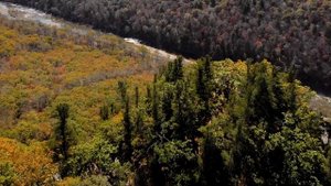 Ущелье Дарданеллы.Приморский край.