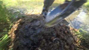 КОП по берегу реки!!! поиск монет) Коп в реке) Коп по полю)