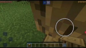 Амир играет