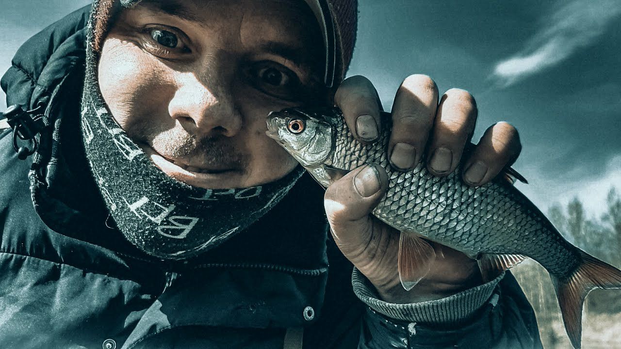 Я не Фидермен?!!! Ловлю плотву на фидер. Рыбалка смотреть онлайн