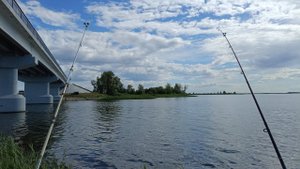5кг густеры+ небольшой лещ.Рыбалка на реке Малый Иргиз 26.06.2024г. Донки, сало, тапки.