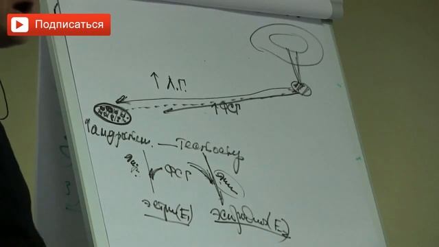 Как происходит беременность у женщины? Как происходит процес зачатия ребенка у женщины? Сарвасаться