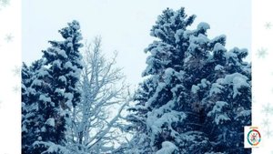 11 Полонез Огинского