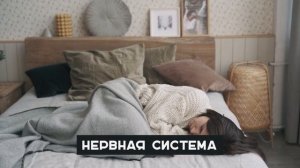 Гриб Рейши и его полезные свойства