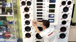 Новые эстрадные динамики Phoenix SQL от DL Audio