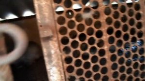 НУТРИЯ И МОИ ОШИБКИ ПРИ РАЗВЕДЕНИЕ НУТРИИ