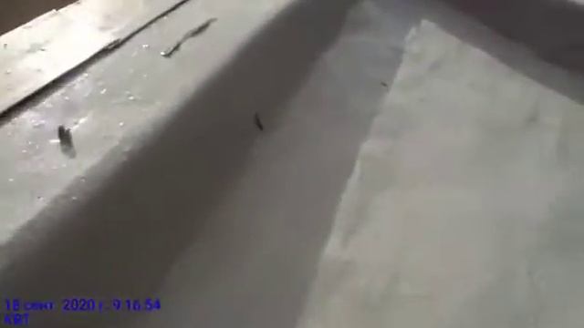 Адгезия после нанесения во время дождя-2020г. смотреть онлайн