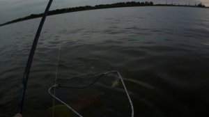 Судак на виб BASSDAY Range Vib 90 ES.Zander Fishing.