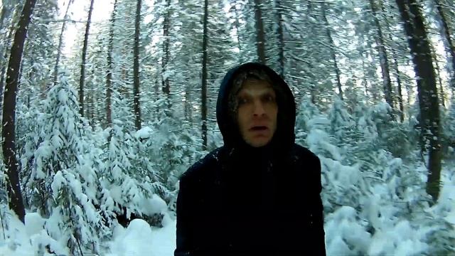 Подкормка птиц зимой. Лесная Кормушка для птиц.