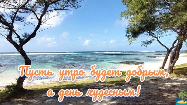 Пусть утро будет добрым, а день чудесным! смотреть онлайн