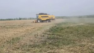 Уборка овса 2021 год.