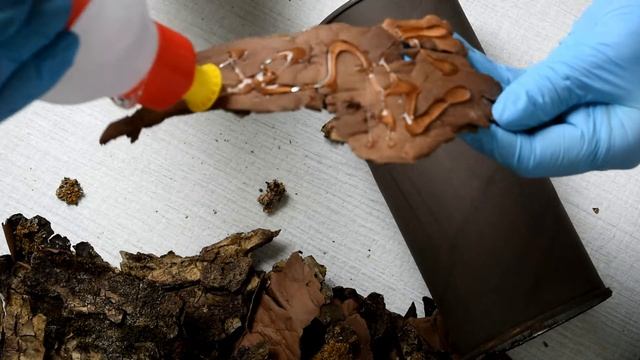 Ваза из коры дерева своими руками. Поделки из природного материала. Декор для дома. смотреть онлайн