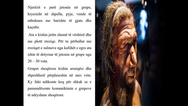 6 12 003 - Java 2 - Histori - hominidët homo erectusit,neandertalit e homosapiensit permirsim смотреть онлайн