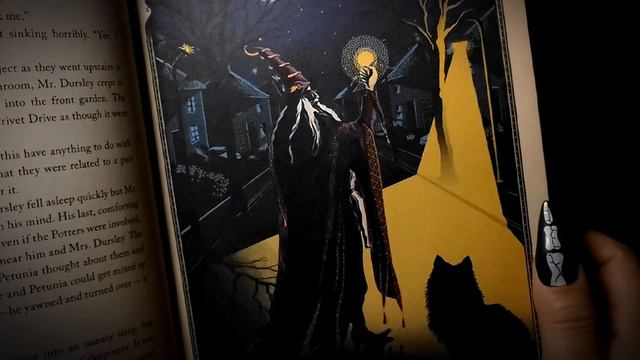 Harry Potter and The Sorcerer's Stone Ch1 #readaloud смотреть онлайн