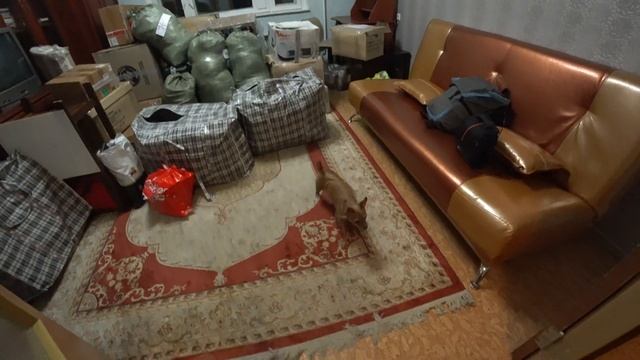 VLOG: Наш переезд смотреть онлайн