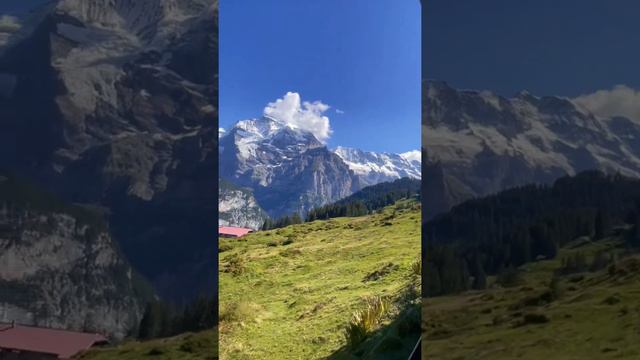 Lauterbrunnen - Mürren Switzerland in summer  #Switzerland #Swiss #travel #trip #europe #Beautiful