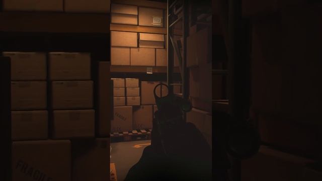 Swat Operation in Storage House?| Ready or Not #shorts