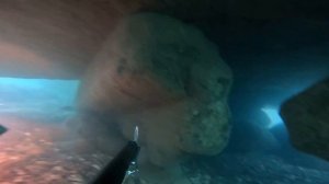 КЕФАЛЬ Подводная охота  Крым