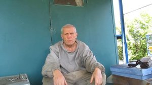 Болезни пчел Клещ варроа, майская болезнь пчел, мешотчатый расплод Как лечить пчел