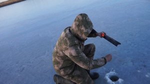 ЛОВЛЯ СУДАКА НА ЖЕРЛИЦЫ | БЕЙСУГ ВЫСЕЛКОВСКИЙ РАЙОН