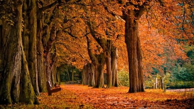 Старец Элпидий   Предск@зание о Пред@тельстве Родины на Примере Греции! Часть 1 [MIRROR] смотреть онлайн