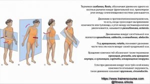 Фитнес обучение. Урок 2. Введение в анатомию. Оси и плоскости.