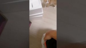 Распаковка блютуз колонки jbl partybox 110 harman