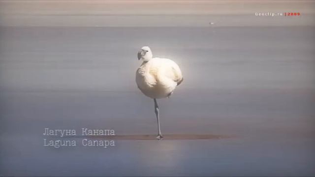 Боливия - путешествие по солончаку Уюни и лагунам / Bolivia. Travel to Salar de Uyuni and lagunas