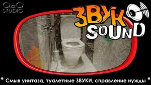 Туалет, смыв унитаза, туалетные ЗВУКИ, справить нужду (Toilet SOUND FX pee, shit, flush)