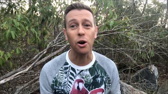 Osmanthus - The Oil of New Joys смотреть онлайн