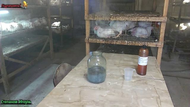 Бройлеры!!! Дезинфекция Однохлористым Йодом!!!