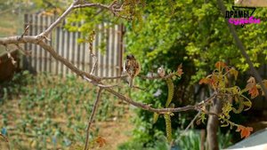 Измена моей жены - знаю более 10 случаев. Все продолжалось, пока я не стал… | Часть 2 - Драмы Судьб