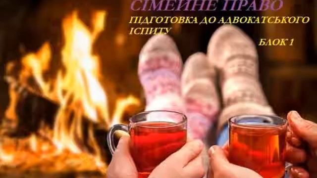 Блок 1 Сімейне право.Завдання СК.Загальні принципи. Захист сімейних прав. смотреть онлайн