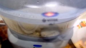 Готовим в пароварке. Как приготовить рис в пароварке.