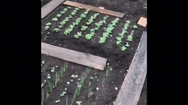 Дача мечты. Обзор. 16.05.2019 смотреть онлайн