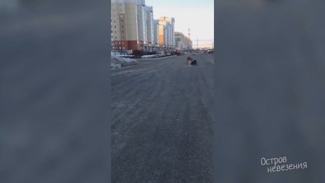 ДОВЫПЕНДРИВАЛИСЬ НА МОТО подборка #1 смотреть онлайн