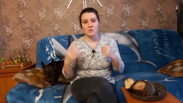 Кормление свеклой животных.#овцы #жизньвдеревне #овцеводство #собака # семьявдеревне#семьявселе