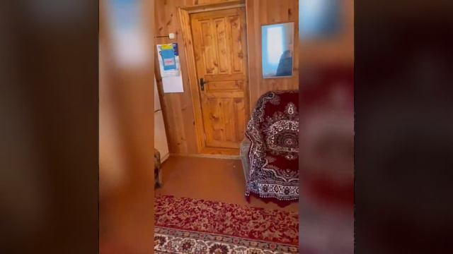 новая Москва, СНТ Дорожник-1 смотреть онлайн